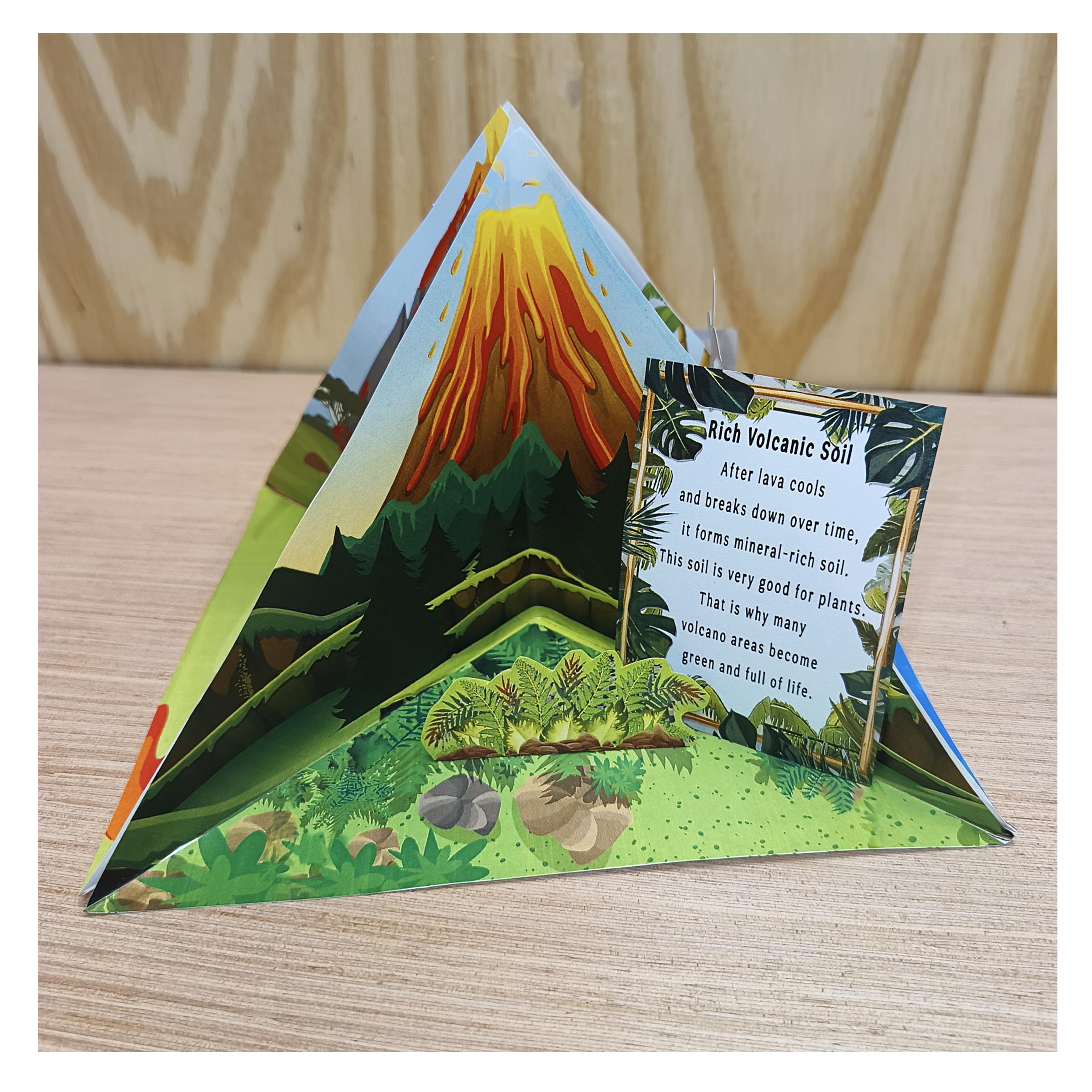 Paper volcano model with plants and an information card explaining rich volcanic soil